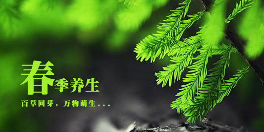 &#31859;&#20848;&#32593;&#39029;&#29256;&#45;&#31859;&#20848;&#40;&#20013;&#22269;&#41;